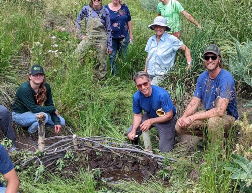 Routt County Climate Action Collaborative Fund Grant Applications are Open!